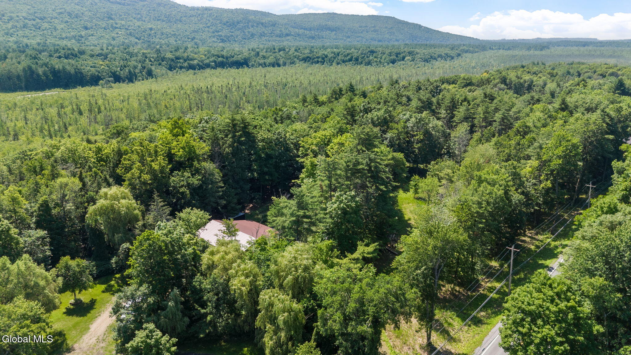 2-web-or-mls-ny-9l