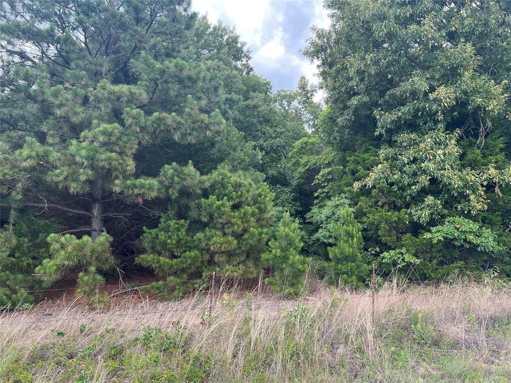 4112 VZ County Road Canton, TX 75103 - Photo 8 of 21