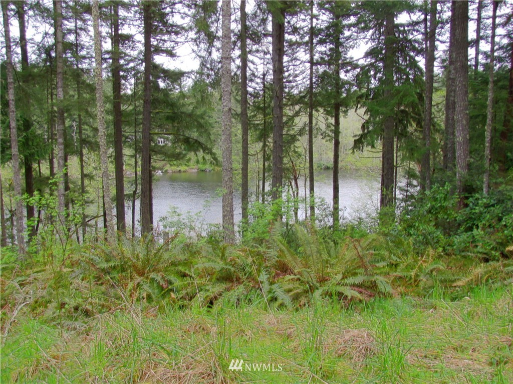 23 Silent Lake Road Quilcene, WA 98376 - Photo 3 of 11