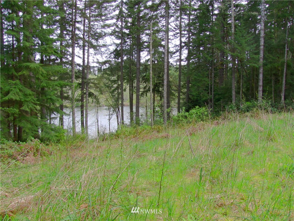 23 Silent Lake Road Quilcene, WA 98376 - Photo 4 of 11