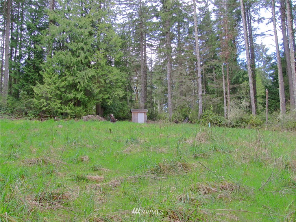 23 Silent Lake Road Quilcene, WA 98376 - Photo 5 of 11
