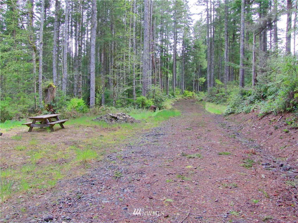 23 Silent Lake Road Quilcene, WA 98376 - Photo 7 of 11