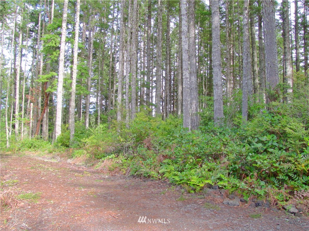 23 Silent Lake Road Quilcene, WA 98376 - Photo 8 of 11