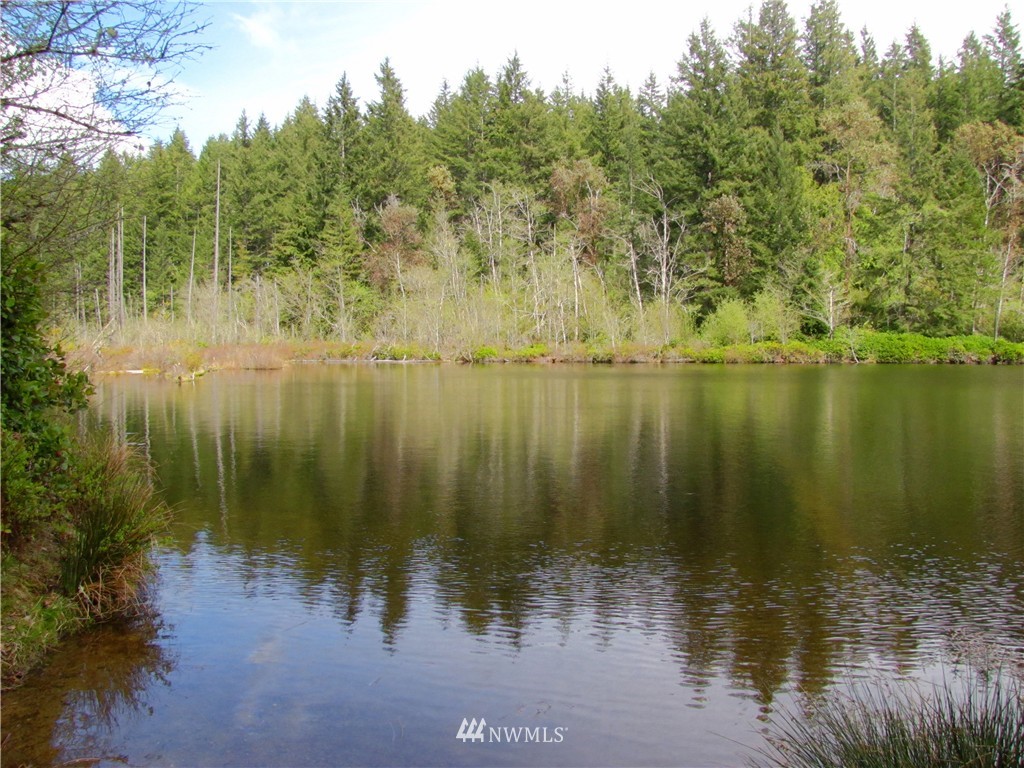 23 Silent Lake Road Quilcene, WA 98376 - Photo 9 of 11