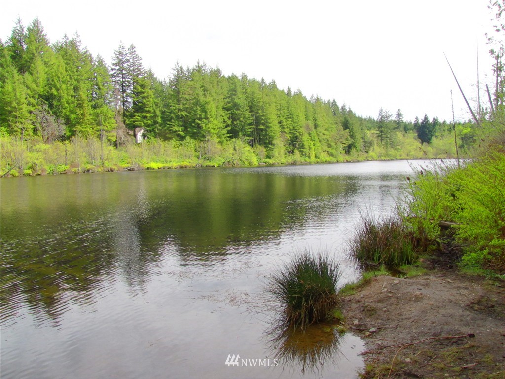 23 Silent Lake Road Quilcene, WA 98376 - Photo 10 of 11