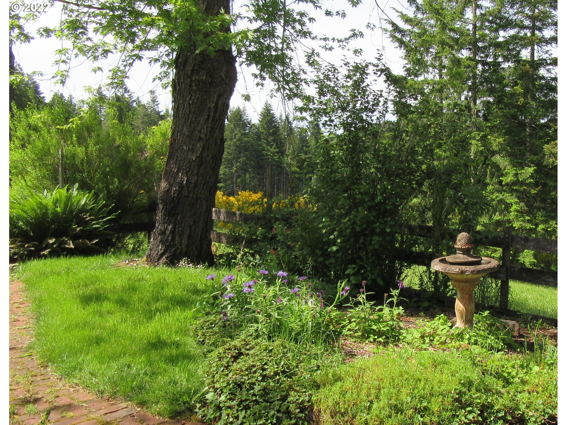 80850 North Hill Road Cottage Grove, OR 97424 - Photo 21 of 24 Gallery Image 21
