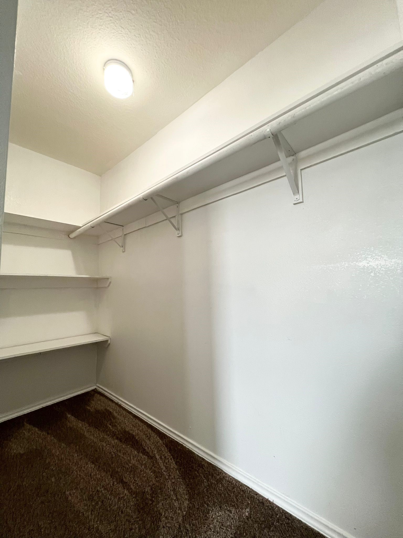 15623 Red Pine Ridge Way Houston, TX 77049 - Photo 28 of 31