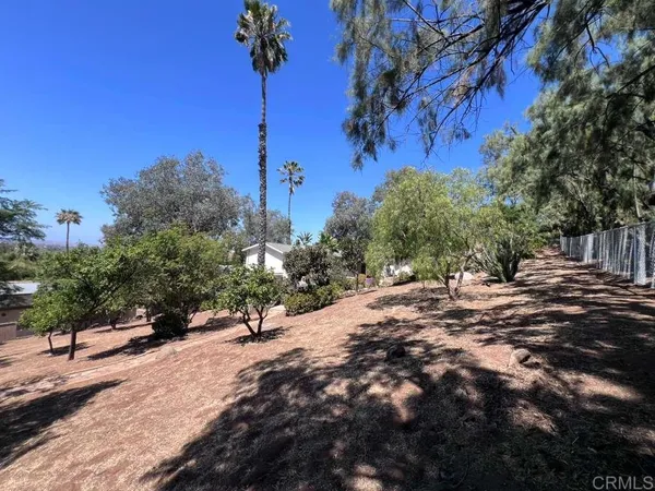 a view of a tree in front of a house