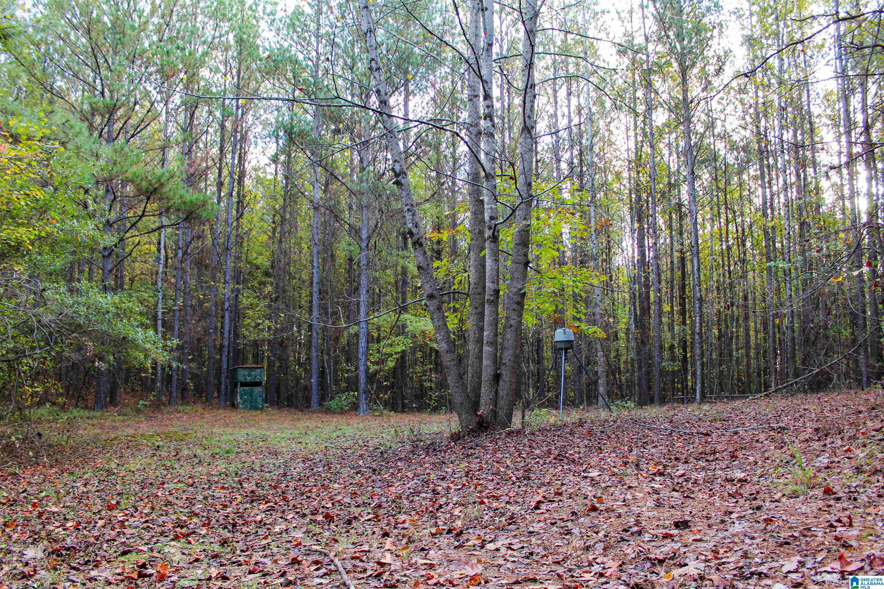 539 3rd Street Northwest Carbon Hill, AL 35549 - Photo 58 of 71