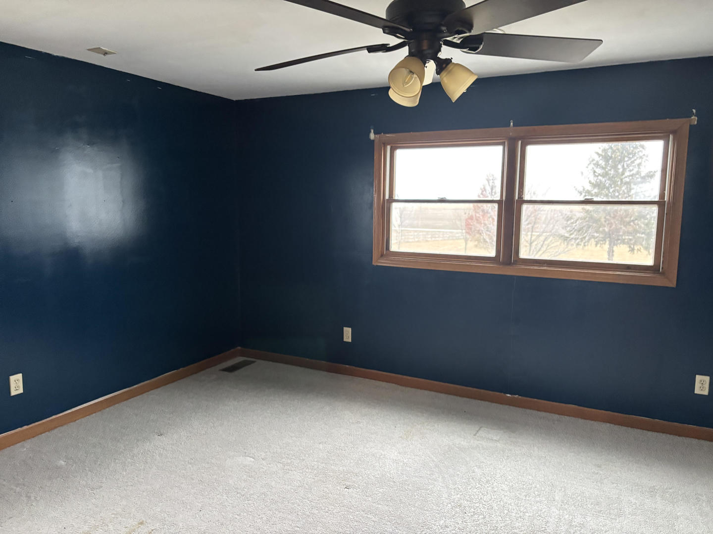 526 Roxbury Road Paw Paw, IL 61353 - Photo 8 of 16