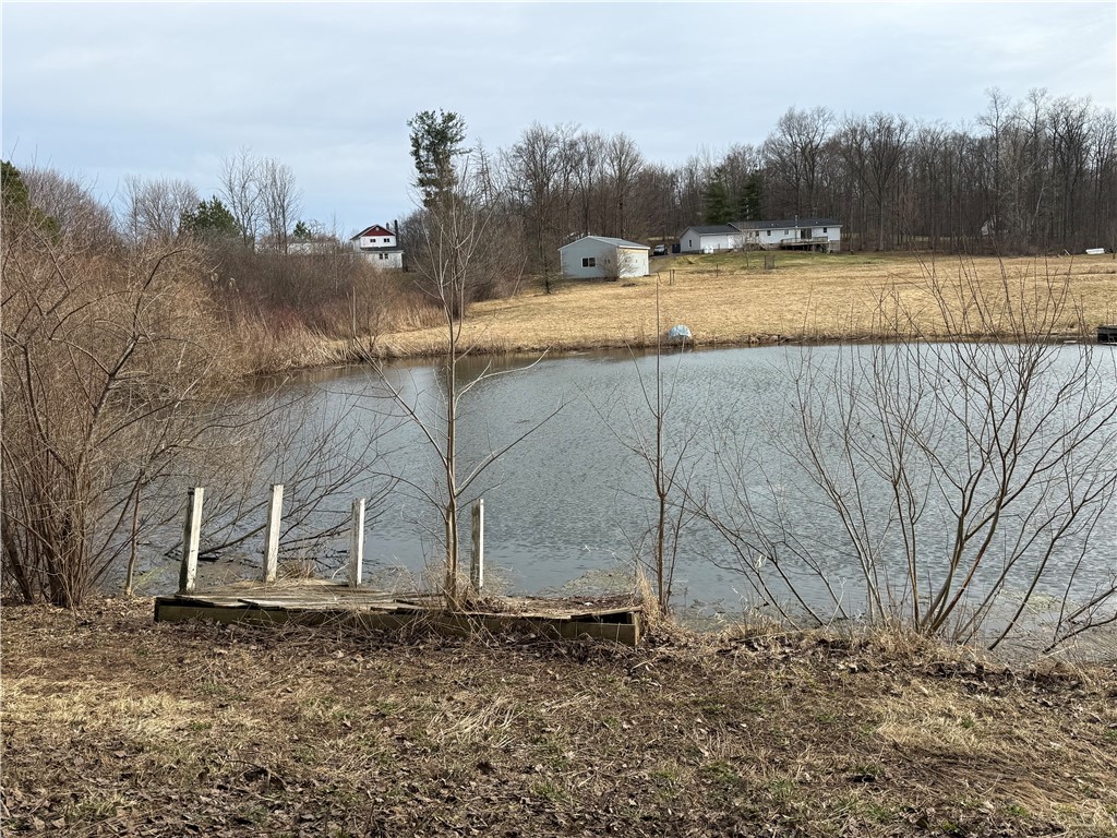 3571 Cole Road Palmyra, NY 14505 - Photo 4 of 50 POND in FALL