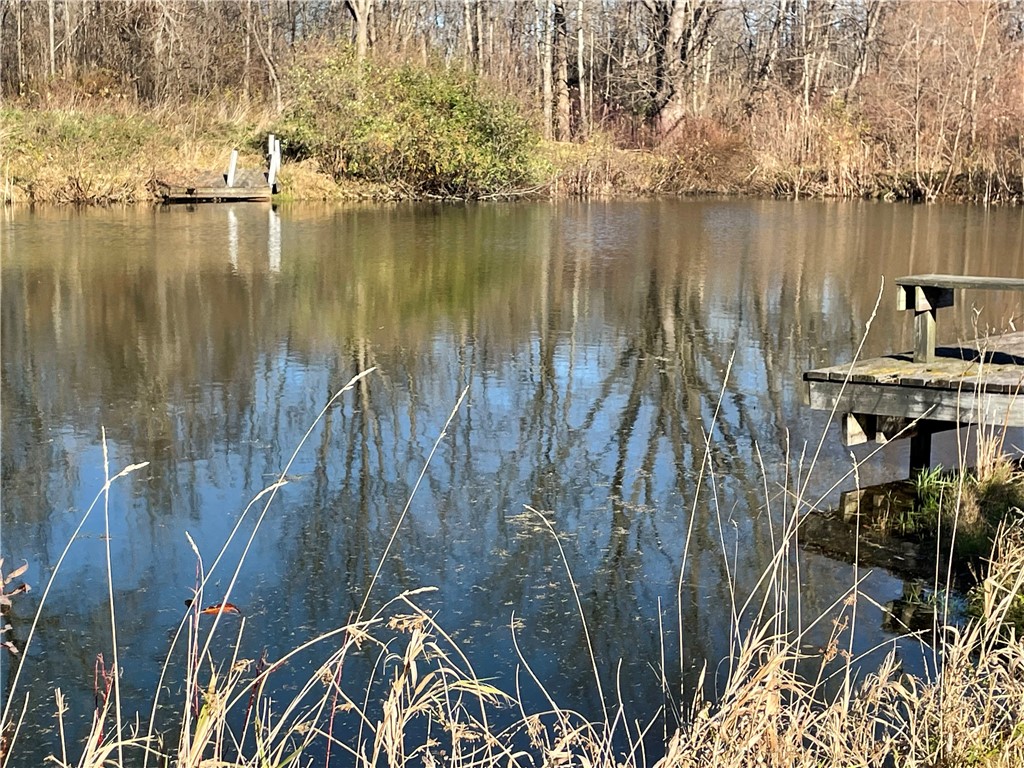 3571 Cole Road Palmyra, NY 14505 - Photo 5 of 50 POND in FALL