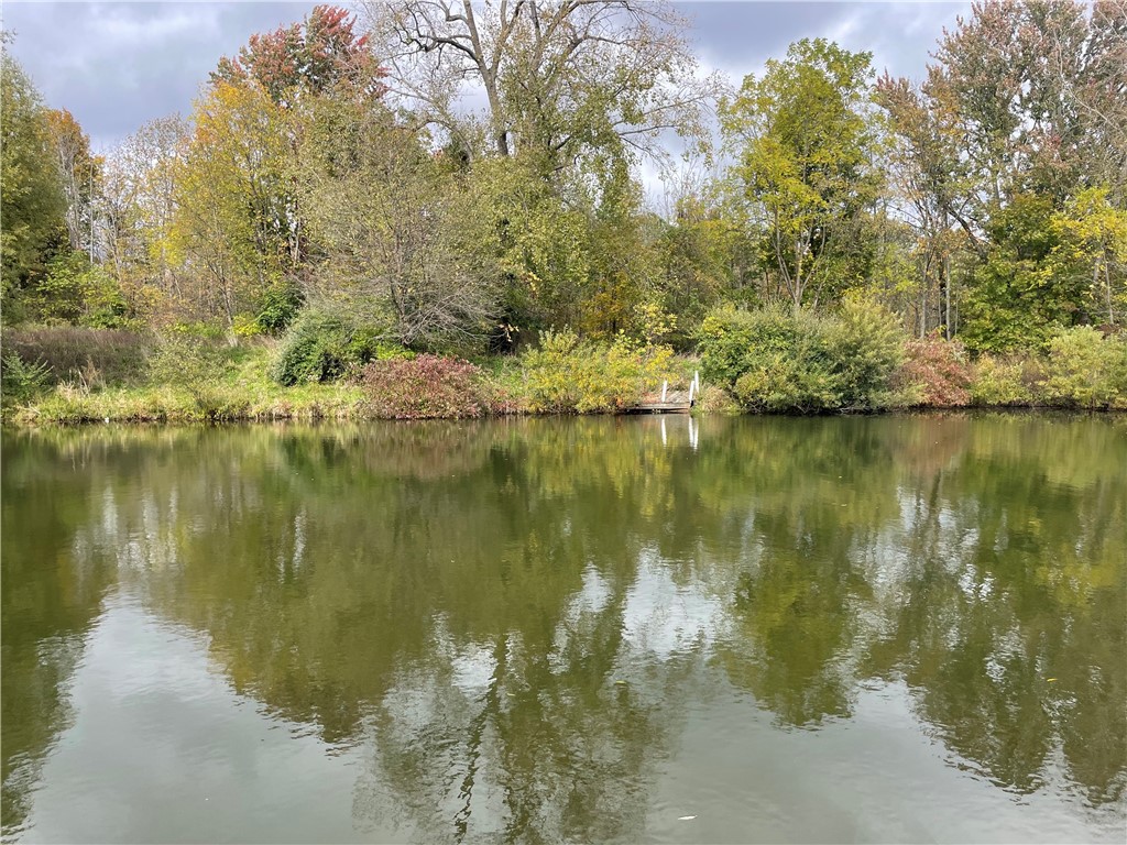 3571 Cole Road Palmyra, NY 14505 - Photo 6 of 50 Pond