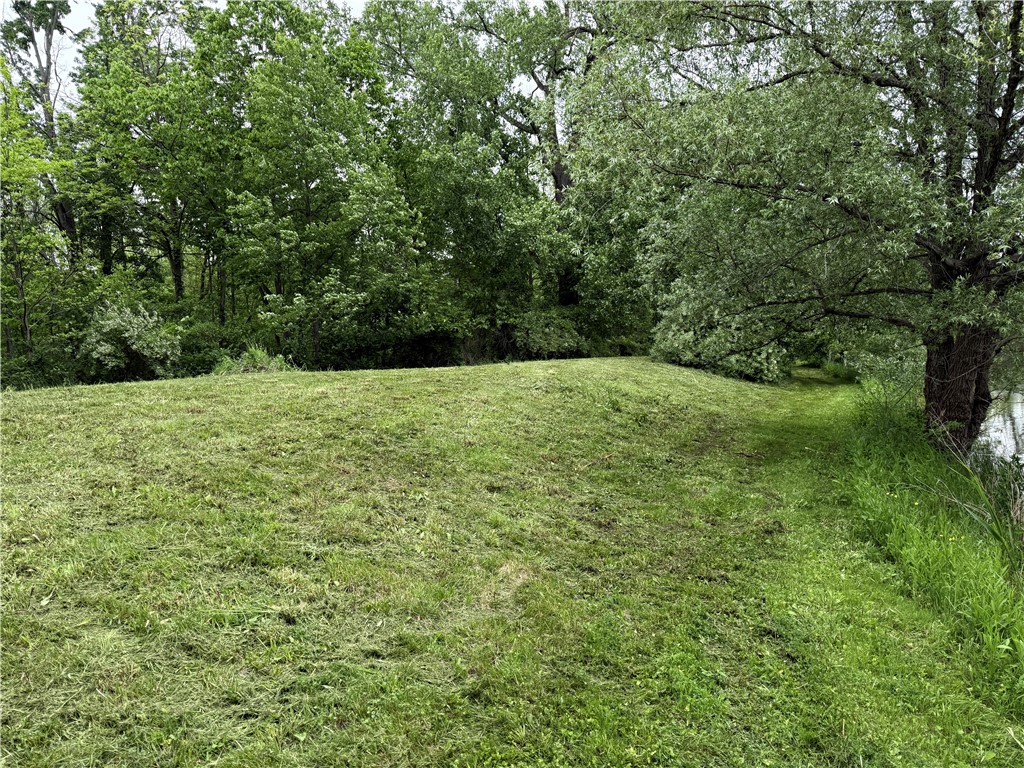 3571 Cole Road Palmyra, NY 14505 - Photo 7 of 50 Behind pond SUMMER
