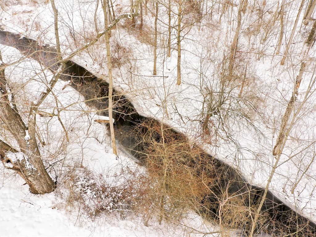 3571 Cole Road Palmyra, NY 14505 - Photo 8 of 50 Creek