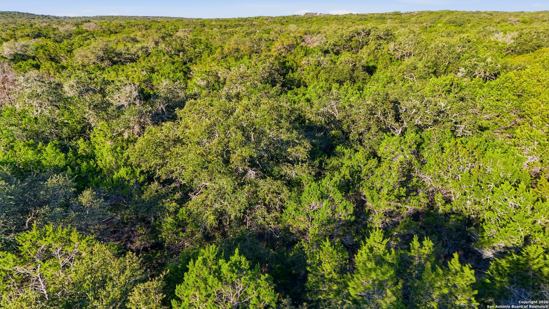 118 Restless Wind Spring Branch, TX 78070 - Photo 20 of 25