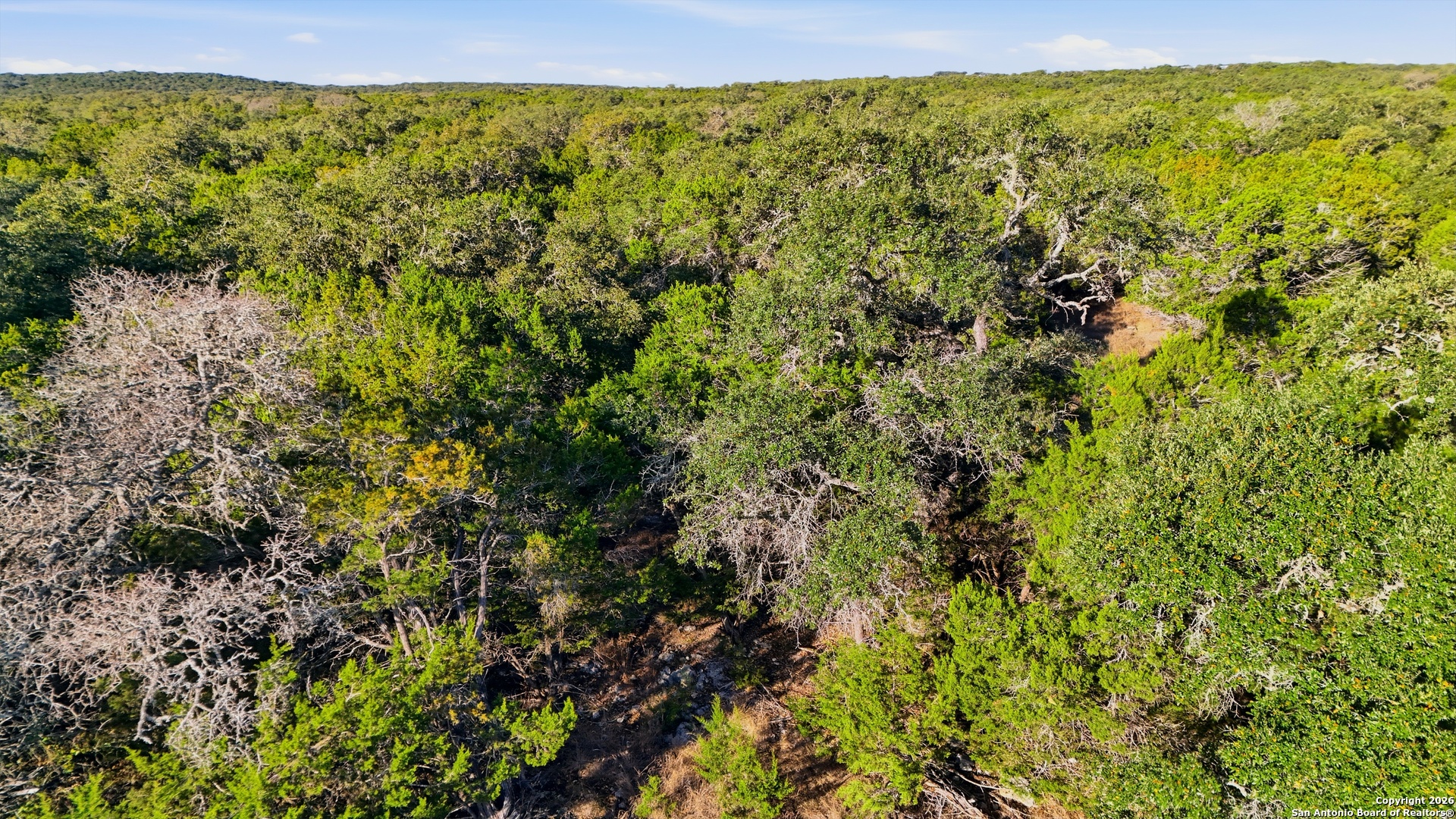 118 Restless Wind Spring Branch, TX 78070 - Photo 21 of 25
