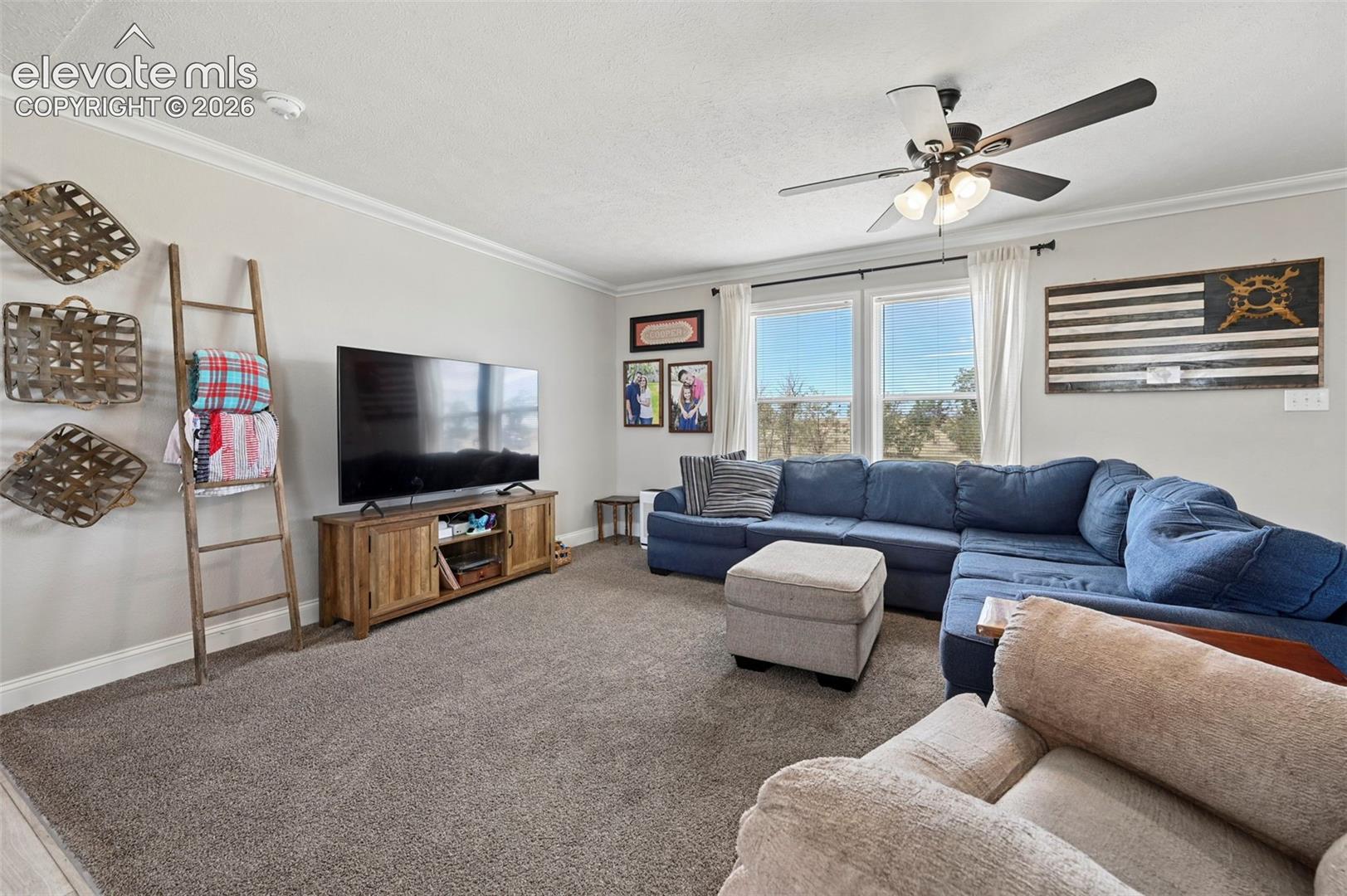 5717 Sengbeil Road Yoder, CO 80864 - Photo 5 of 37 Gallery Image 5