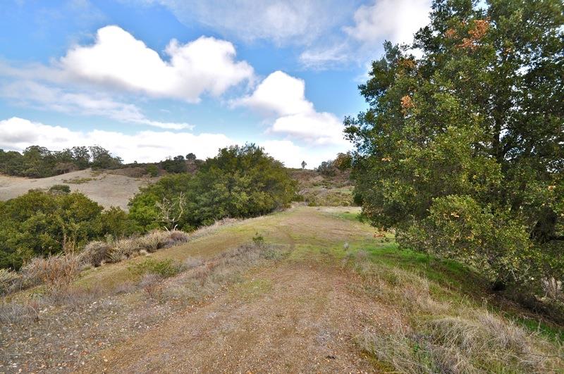 0 Mt Eden Road Saratoga, CA 95070 - Photo 10 of 27