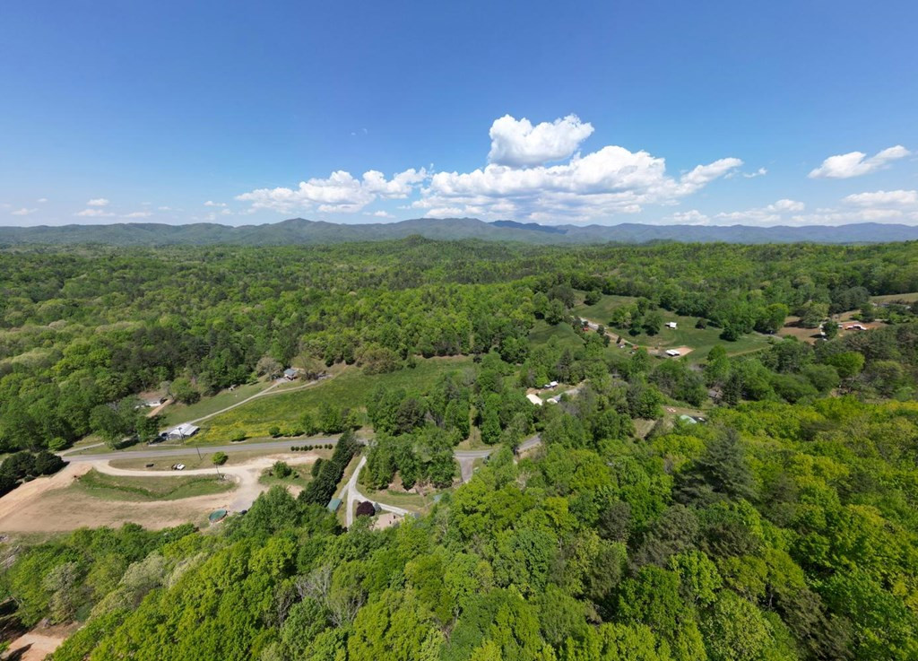 832 Canyon Road Marble, NC 28905 - Photo 6 of 48