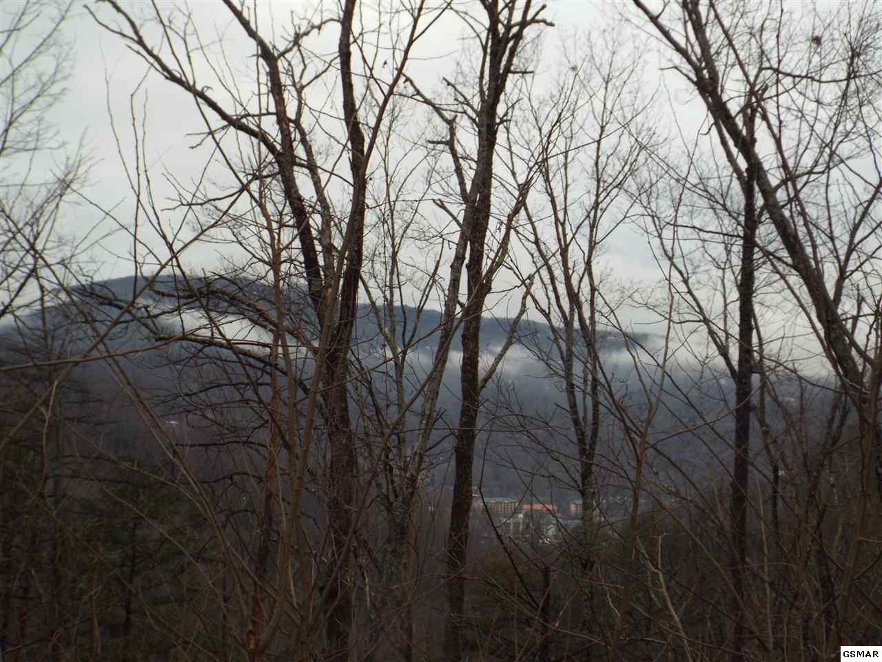 0 Loop Road Gatlinburg, TN 37738 - Photo 2 of 9