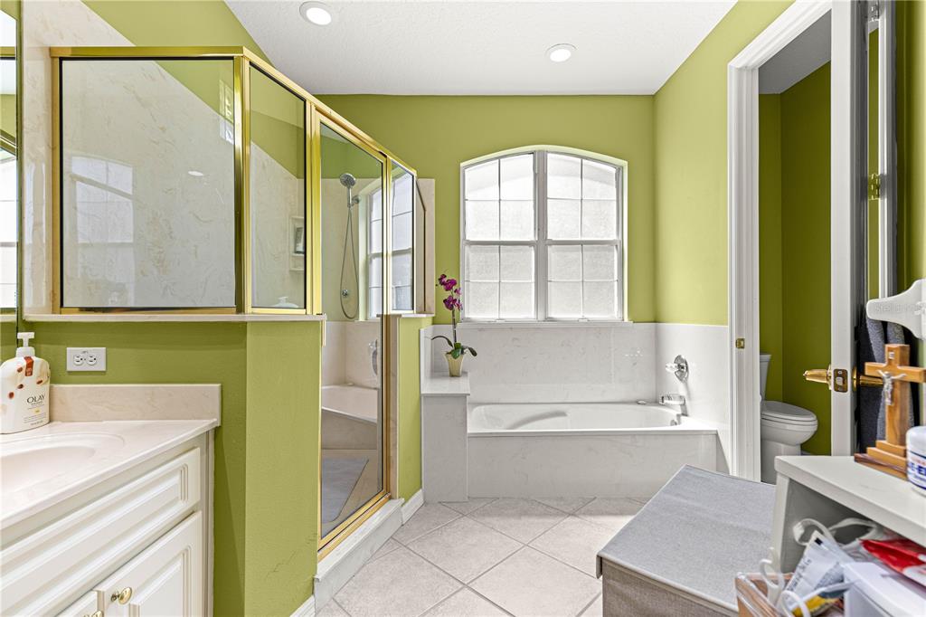 9110 Southwest 96th Court Road Ocala, FL 34481 - Photo 24 of 45 a bathroom with a tub sink and mirror