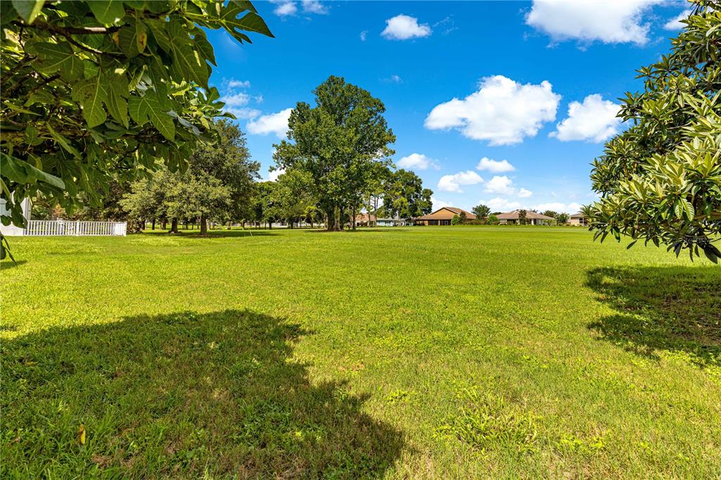 9110 Southwest 96th Court Road Ocala, FL 34481 - Photo 32 of 45