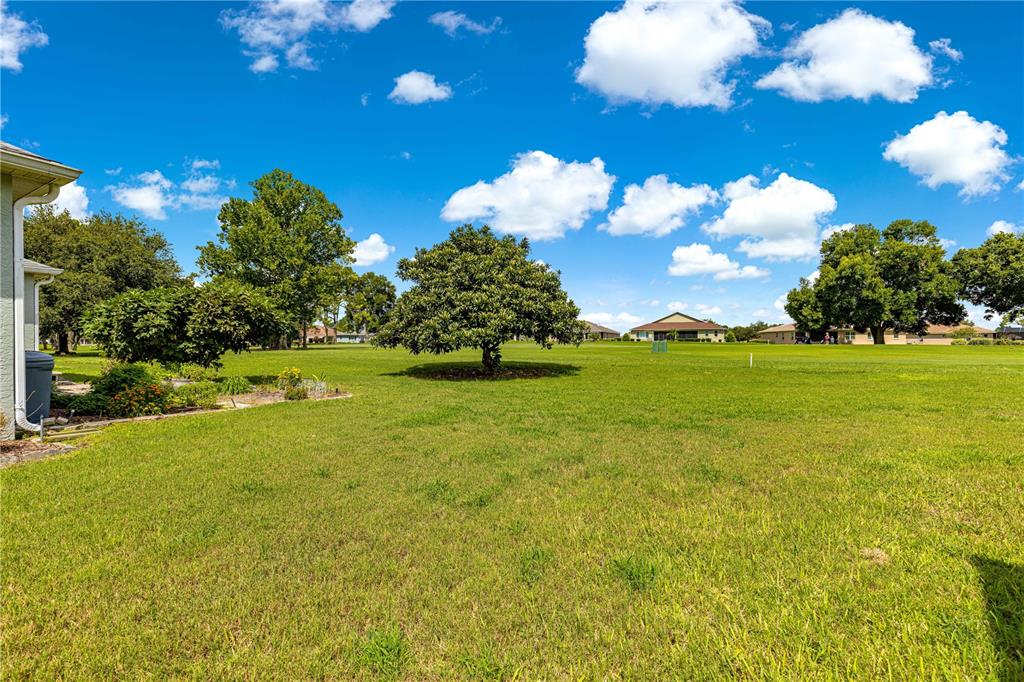 9110 Southwest 96th Court Road Ocala, FL 34481 - Photo 35 of 45 a view of a building and trees in the background