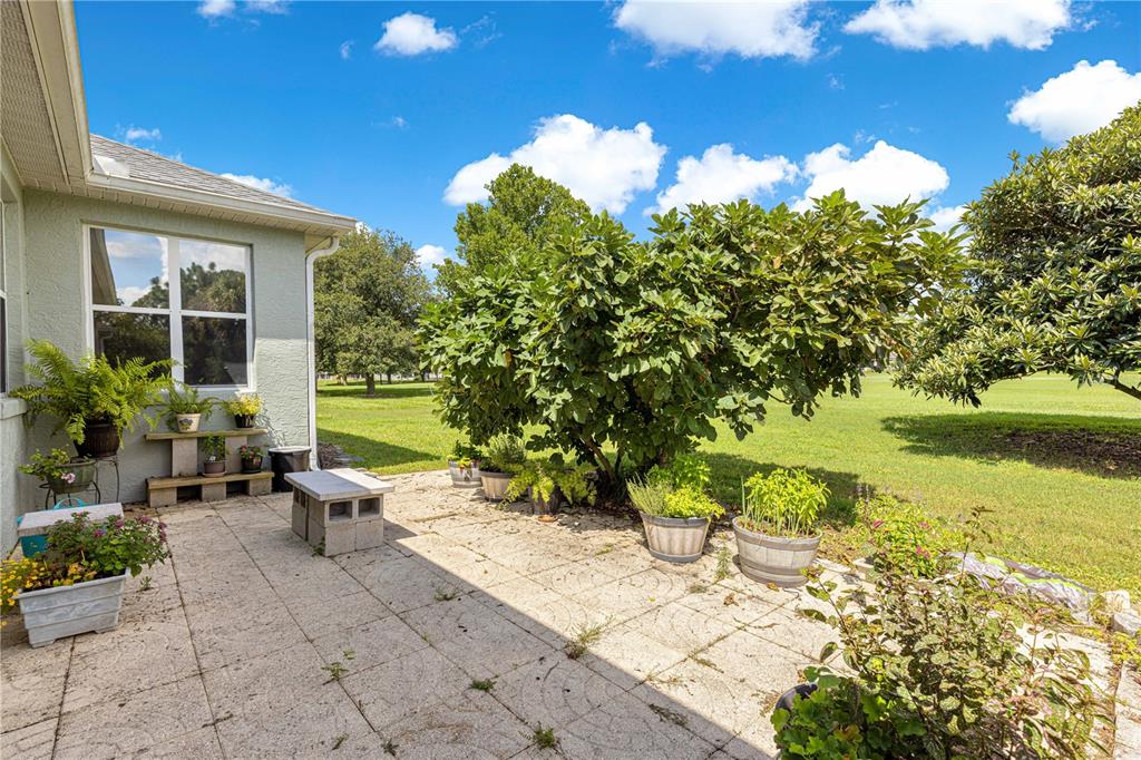 9110 Southwest 96th Court Road Ocala, FL 34481 - Photo 44 of 45 a view of a patio with chairs and plants