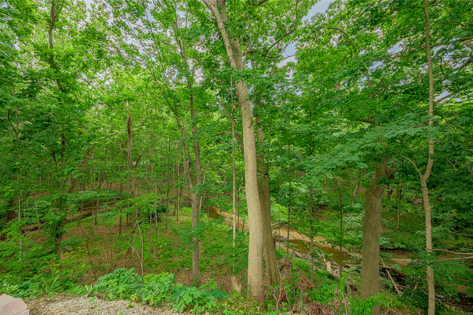 20735 Wolf Road Mokena, IL 60448 - Photo 22 of 22 a view of a lush green forest