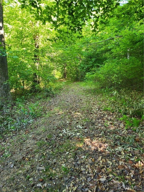 6594 Esmont Road Esmont, VA 22937 - Photo 26 of 35 Gallery Image 26