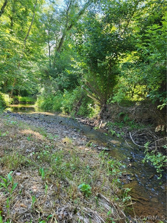 6594 Esmont Road Esmont, VA 22937 - Photo 27 of 35 Gallery Image 27