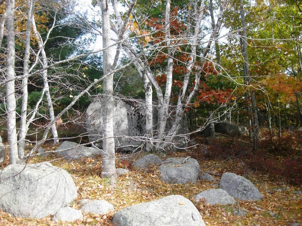 4 Gloria's Way Road Franklin, ME 04634 - Photo 4 of 8 Photo