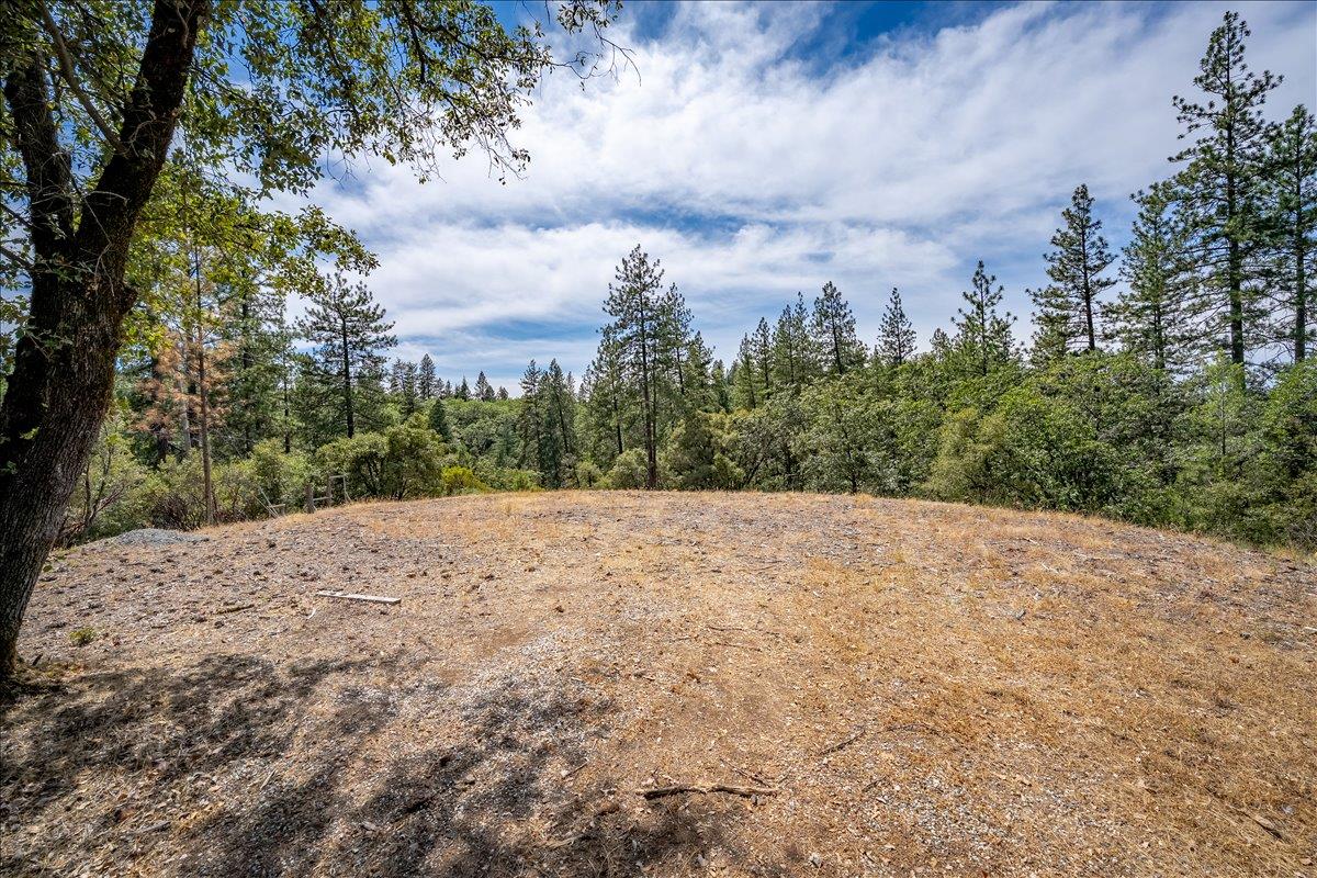 22600 Plumtree Road Colfax, CA 95713 - Photo 2 of 37