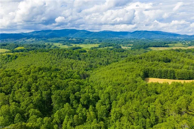 $985,000 | Tbd Phipps Dairy Road, Piney Creek, NC 28663