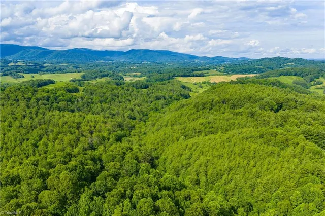 $985,000 | Tbd Phipps Dairy Road, Piney Creek, NC 28663