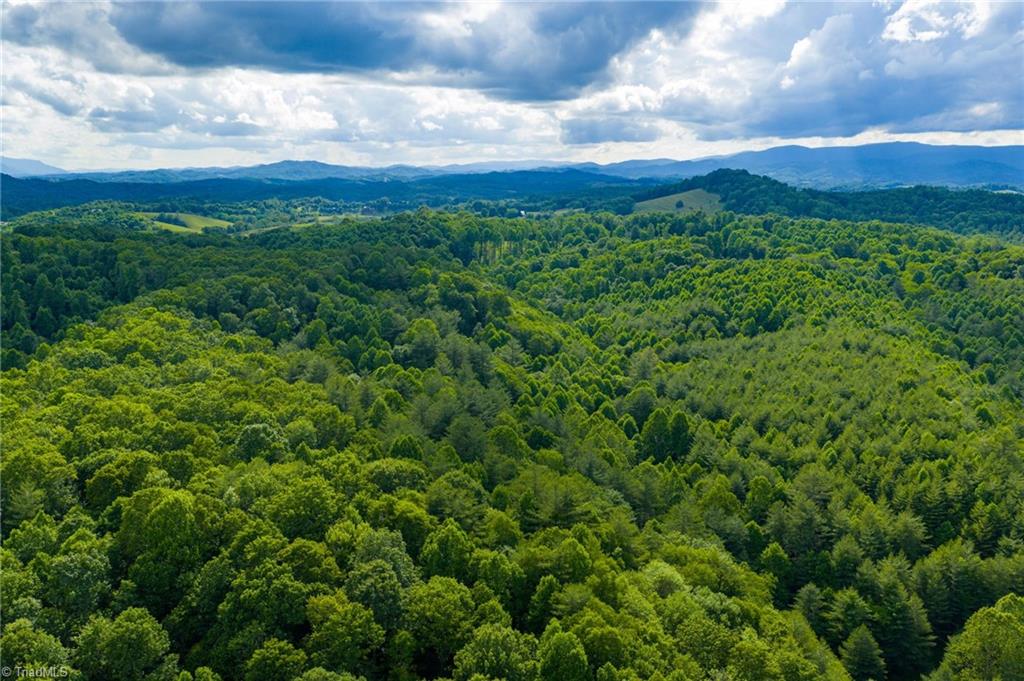 Tbd Phipps Dairy Road Piney Creek, NC 28663 - Photo 15 of 35