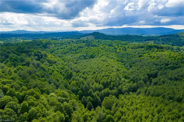 $985,000 | Tbd Phipps Dairy Road, Piney Creek, NC 28663