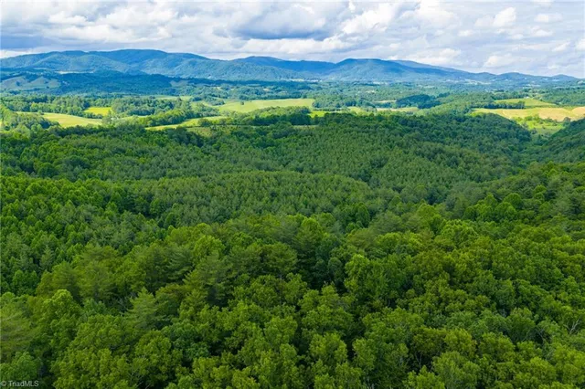 $985,000 | Tbd Phipps Dairy Road, Piney Creek, NC 28663