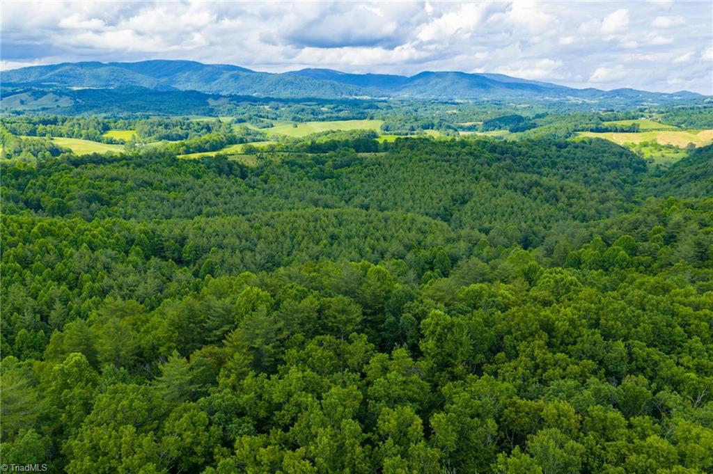 Tbd Phipps Dairy Road Piney Creek, NC 28663 - Photo 17 of 35