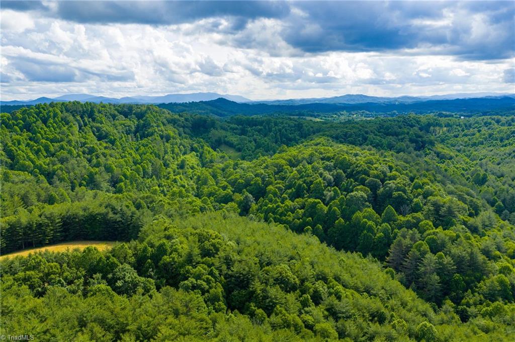 Tbd Phipps Dairy Road Piney Creek, NC 28663 - Photo 18 of 35