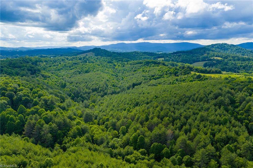 Tbd Phipps Dairy Road Piney Creek, NC 28663 - Photo 20 of 35