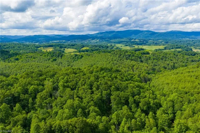 $985,000 | Tbd Phipps Dairy Road, Piney Creek, NC 28663