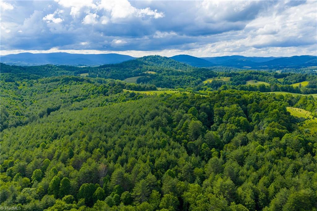 Tbd Phipps Dairy Road Piney Creek, NC 28663 - Photo 21 of 35
