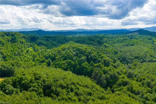 $985,000 | Tbd Phipps Dairy Road, Piney Creek, NC 28663
