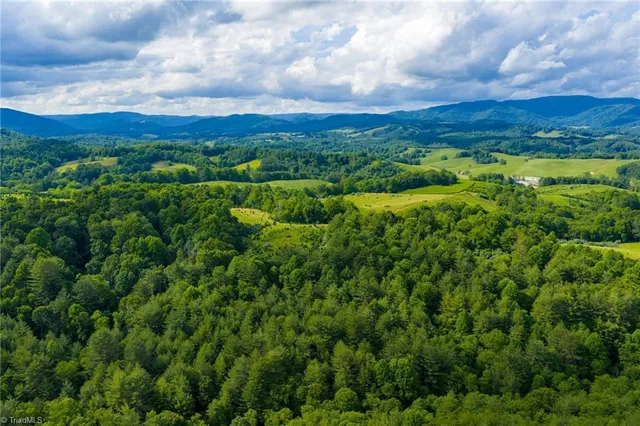 $985,000 | Tbd Phipps Dairy Road, Piney Creek, NC 28663