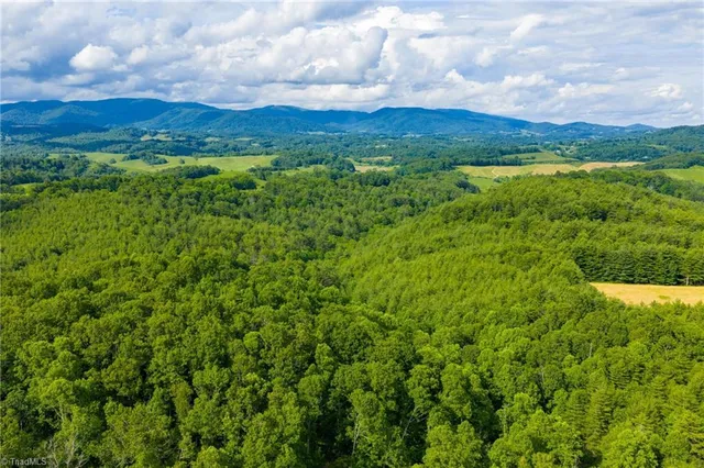 $985,000 | Tbd Phipps Dairy Road, Piney Creek, NC 28663