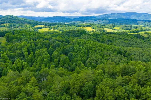 $985,000 | Tbd Phipps Dairy Road, Piney Creek, NC 28663