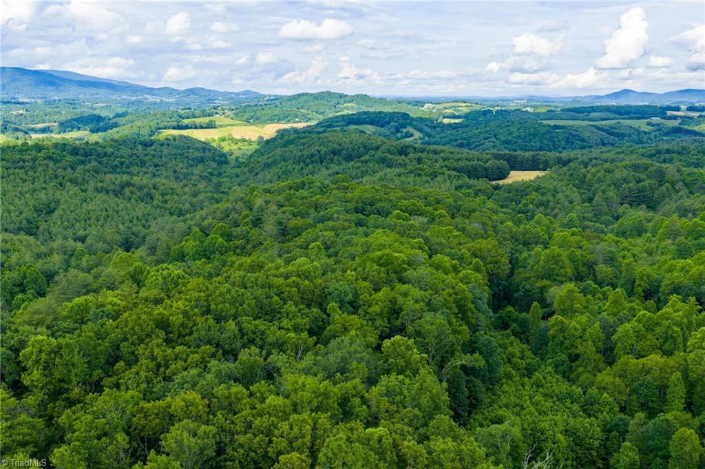 Tbd Phipps Dairy Road Piney Creek, NC 28663 - Photo 26 of 35