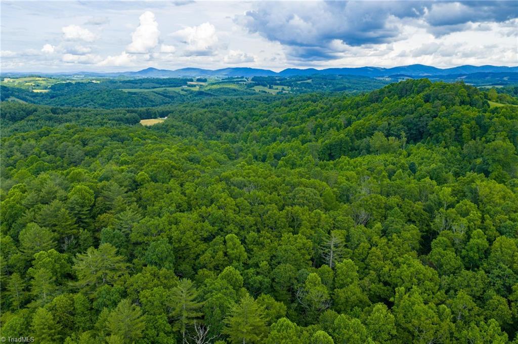 Tbd Phipps Dairy Road Piney Creek, NC 28663 - Photo 27 of 35